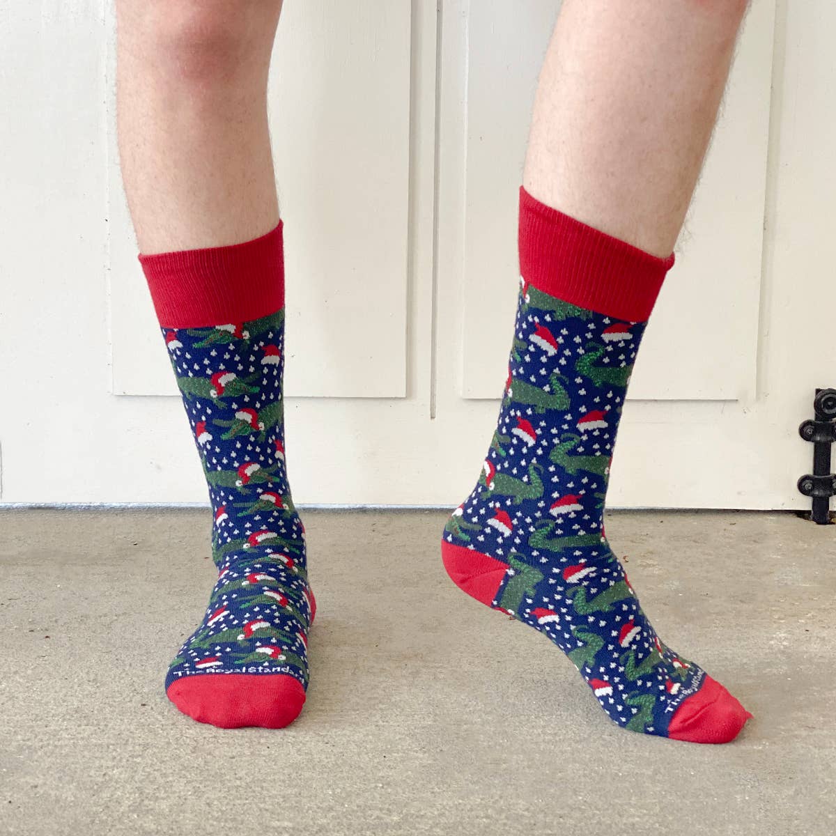 Santa Gator Socks